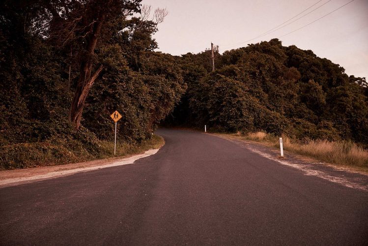 Asphalt road winds through lush, green forest vegetation under an overcast sky, featuring a yellow school crossing sign.