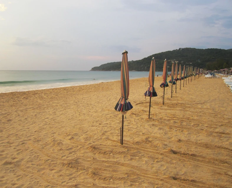 Beach scene featuring numerous closed beach umbrellas in a row along a sandy shore, with the ocean and distant hills in the background.