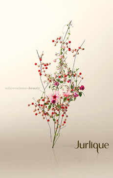 Botanical beauty shot of pink roses and red berries against a gradient beige background with Jurlique brand logo and reflected surface.