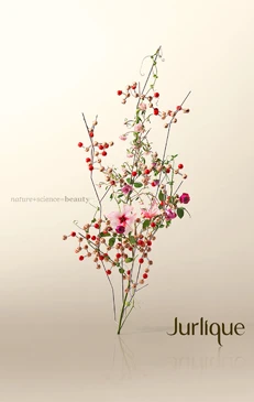 Botanical beauty shot of pink roses and red berries against a gradient beige background with Jurlique brand logo and reflected surface.