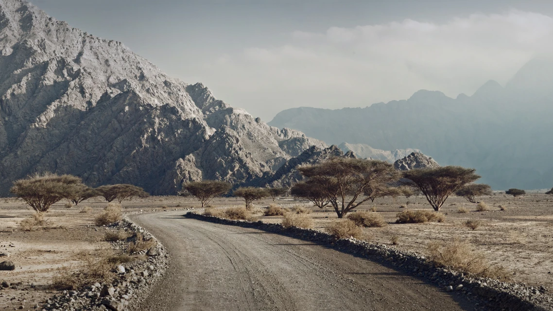 Scenic shot of a winding dirt road leading through an arid desert landscape toward rocky mountains under a cloudy sky.