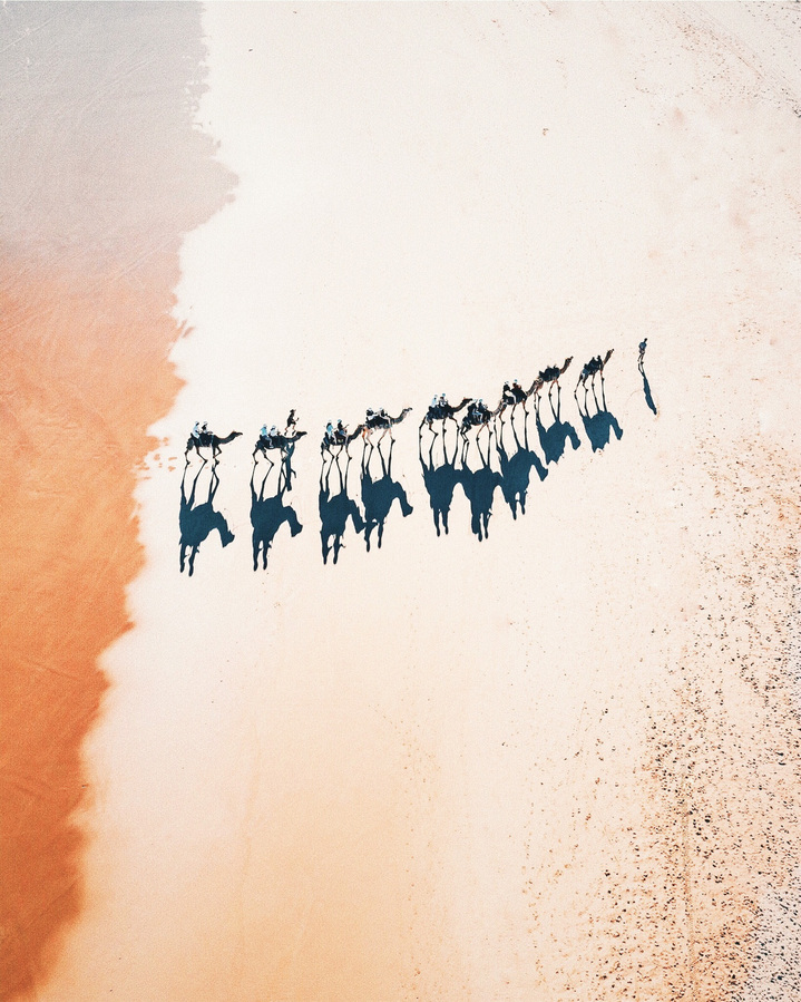 Aerial view of a camel train with riders crossing sandy terrain with peach and white hues under bright sunlight, casting long shadows.