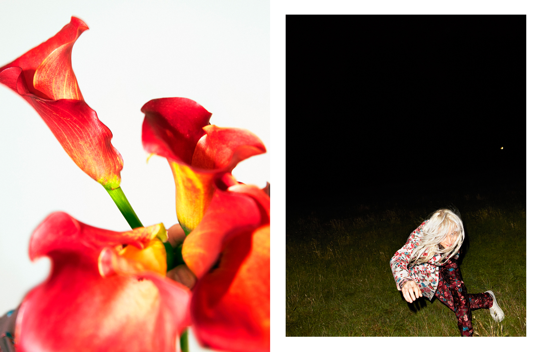 A diptych shows vibrant red Calla lilies on the left and a person in a floral outfit standing on a grassy field at night on the right.