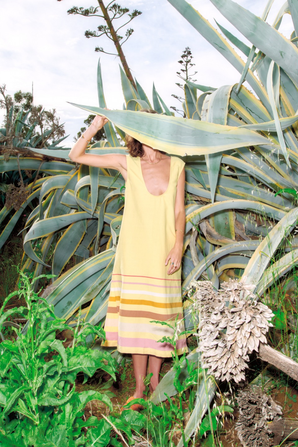 Woman in a yellow dress stands among agave plants in natural light. The setting features lush greenery and a bright sky.