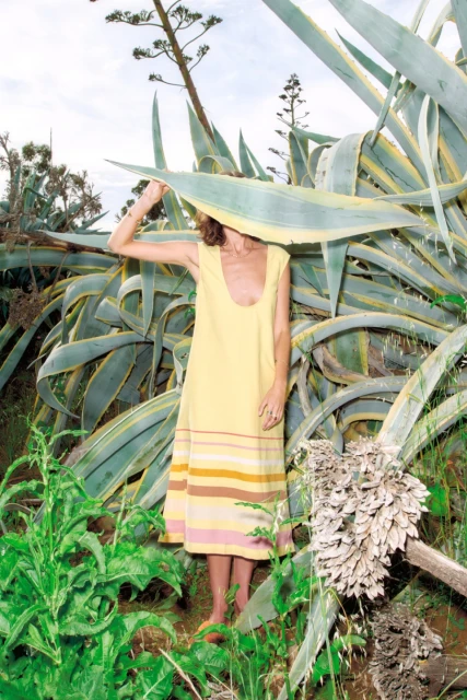 Woman in a yellow dress stands among agave plants in natural light. The setting features lush greenery and a bright sky.