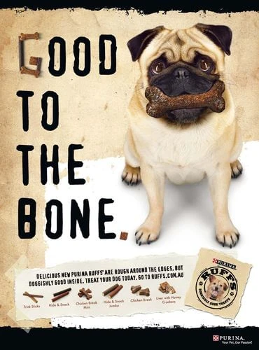 Pug dog sitting with a bone in its mouth, featured in an advertisement for Purina Ruffs dog treats, with brand logos and product details.