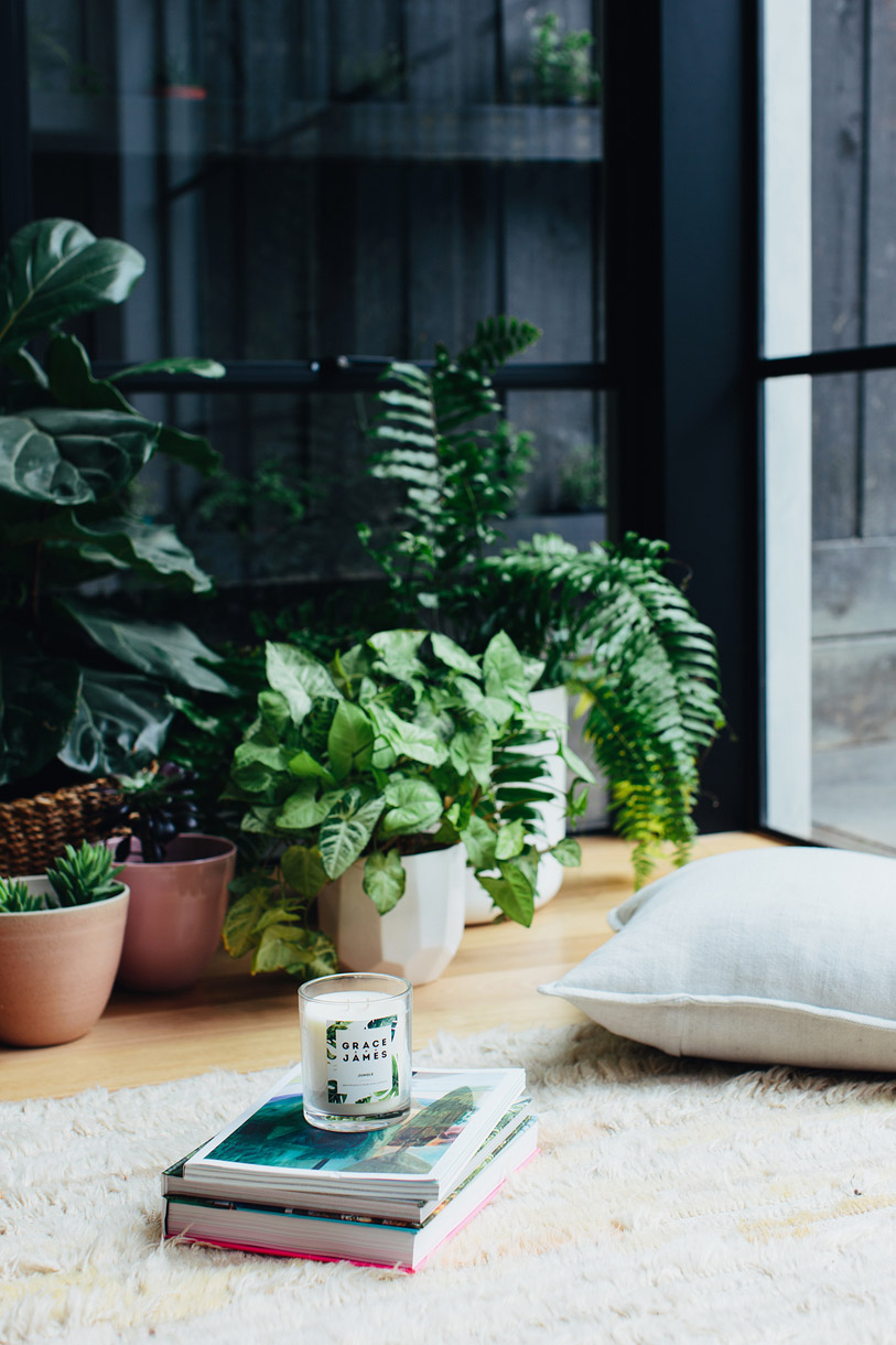 Interior scene with potted green plants, books, a candle, and pillow near a window, creating a cozy and inviting indoor setting.