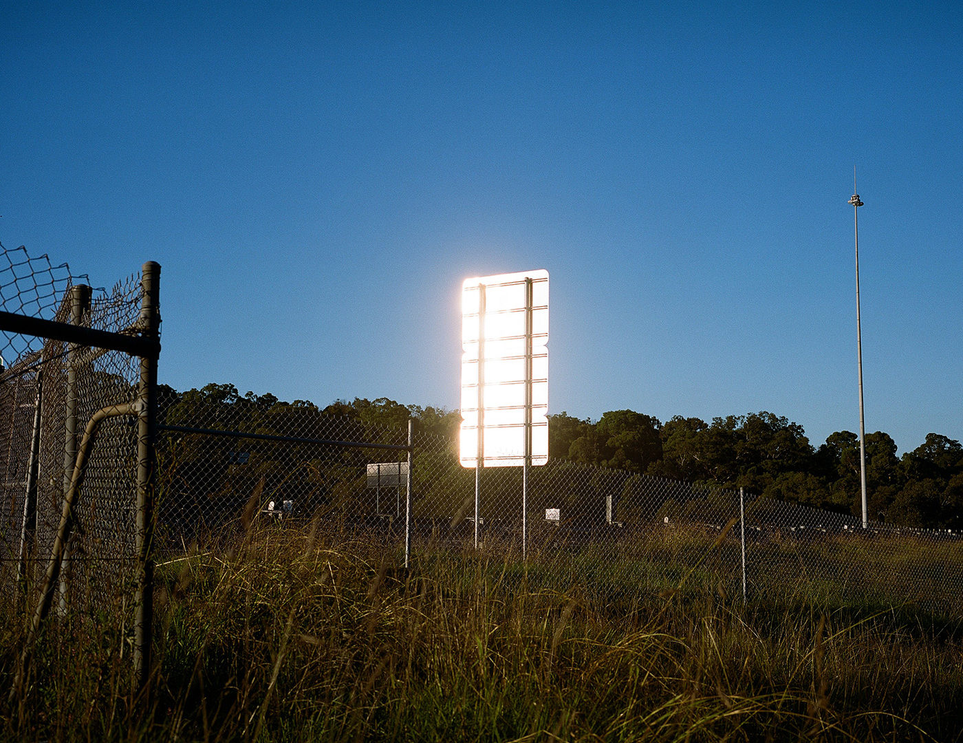 A chain-link fence and tall grass frame a sunlit roadside sign, backed by a line of trees against a bright blue sky.