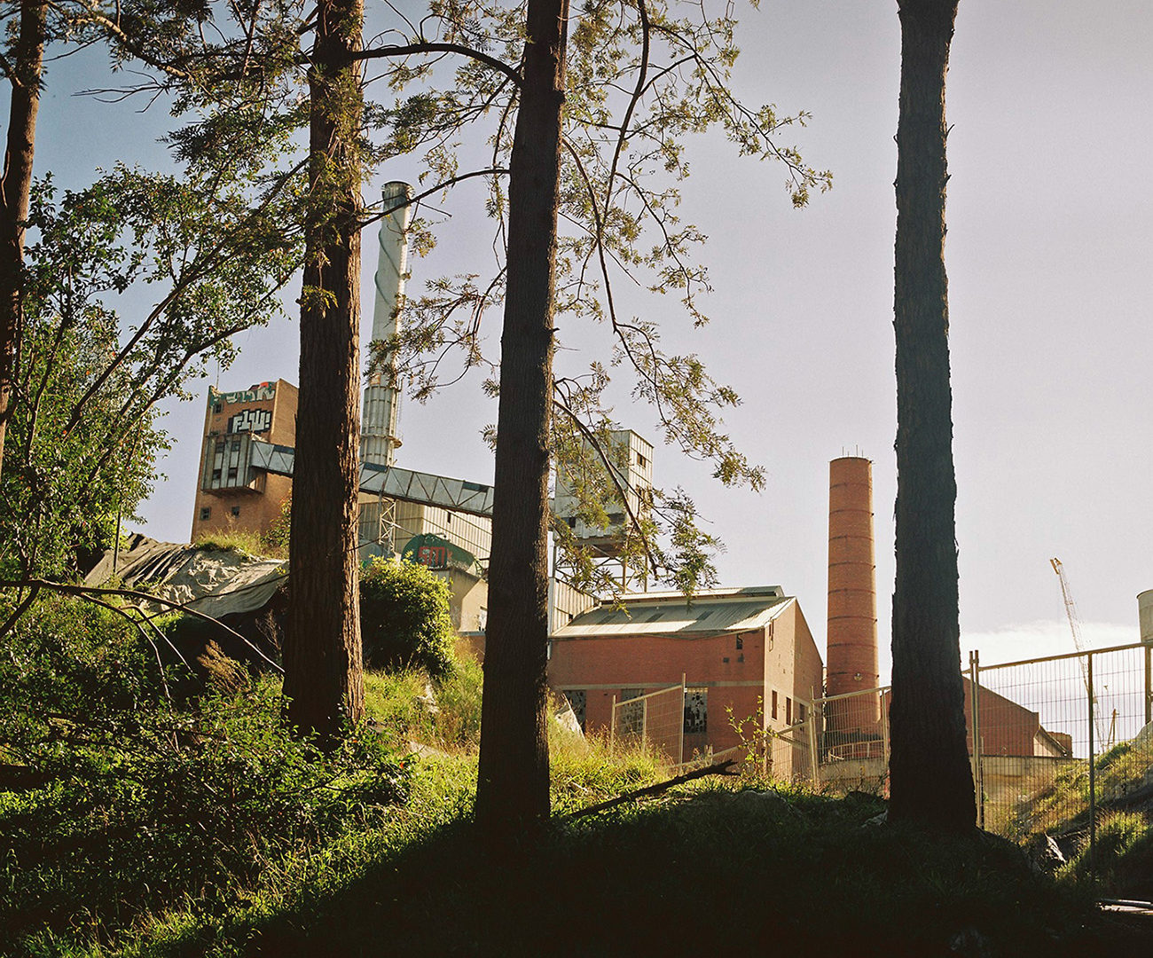 Outdoor shot of a factory with industrial buildings, smokestacks, and bare trees on a sunny day, viewed from a low angle.