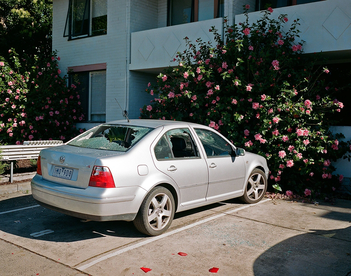 Silver sedan parked in a sunny outdoor lot beside a building wall covered in lush pink flowering bushes.