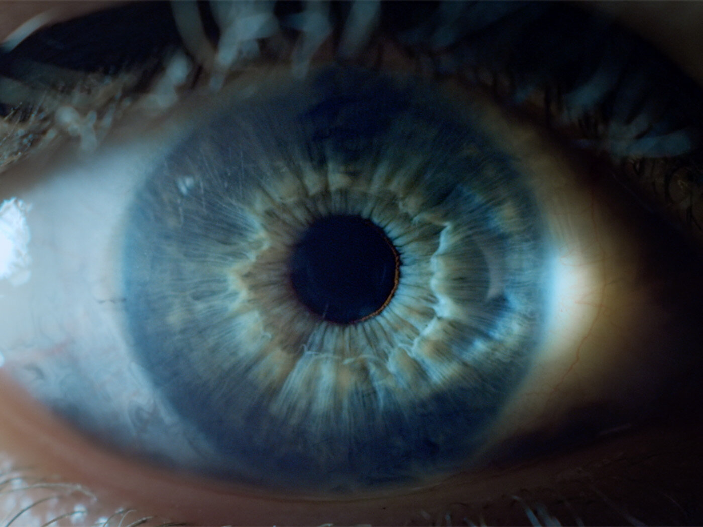 Macro photograph showcasing a single human eye, with a focus on the intricate details of the iris and pupil, capturing its unique color.