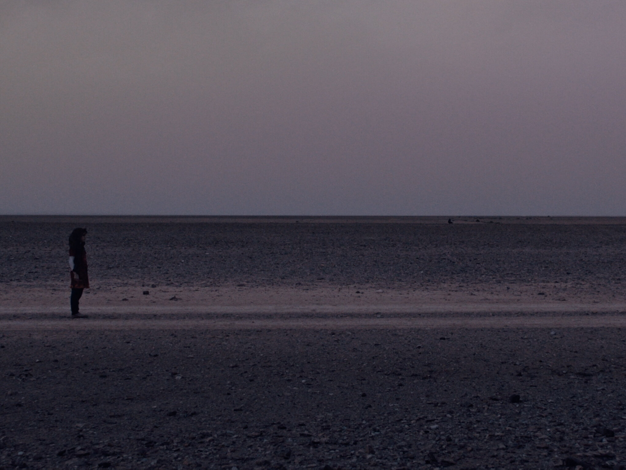 Woman stands alone in a vast, flat, dark desert landscape under a dusky sky. Wide shot emphasizing isolation and the scale of the environment.