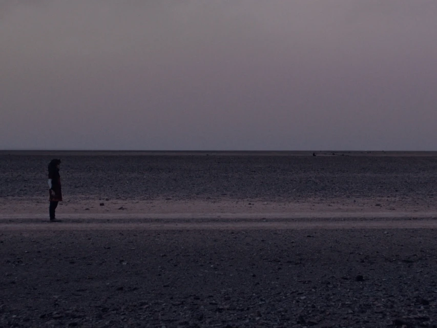 Woman stands alone in a vast, flat, dark desert landscape under a dusky sky. Wide shot emphasizing isolation and the scale of the environment.