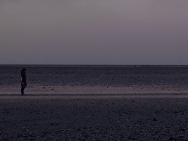 Woman stands alone in a vast, flat, dark desert landscape under a dusky sky. Wide shot emphasizing isolation and the scale of the environment.