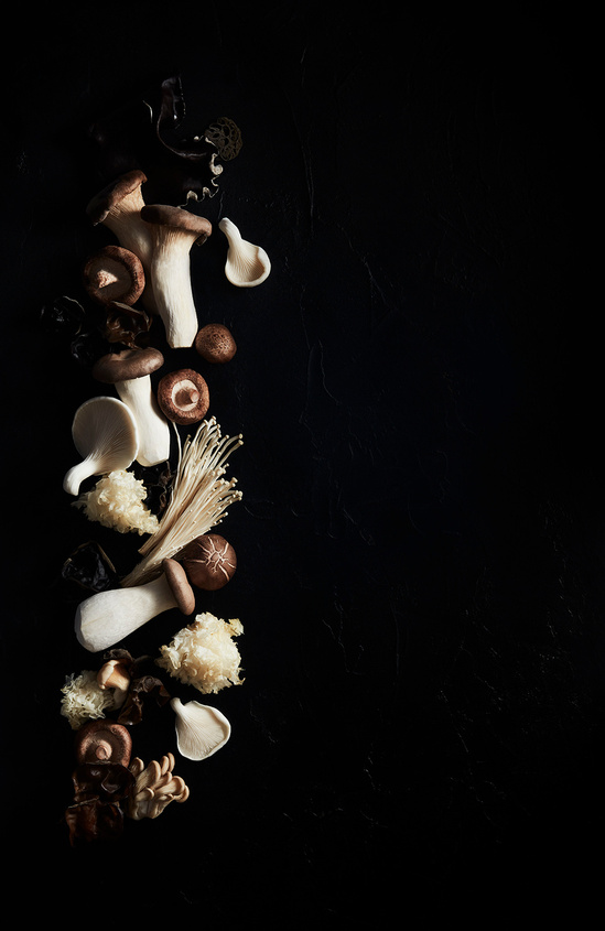 Assortment of mushrooms including shiitake, enoki, and oyster mushrooms displayed in a line on a dark surface. Food photography.