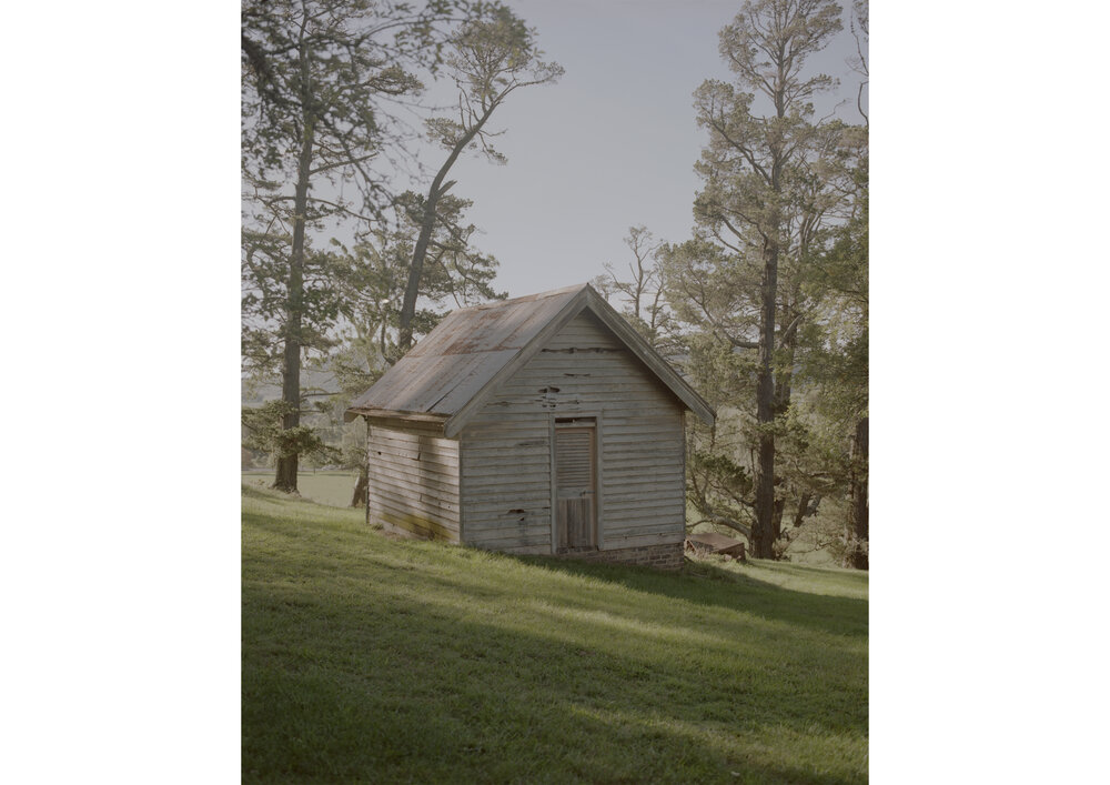 Weathered wooden shed with a rusty metal roof, nestled on a grassy hill amid towering trees on a bright, sunny day outdoors.