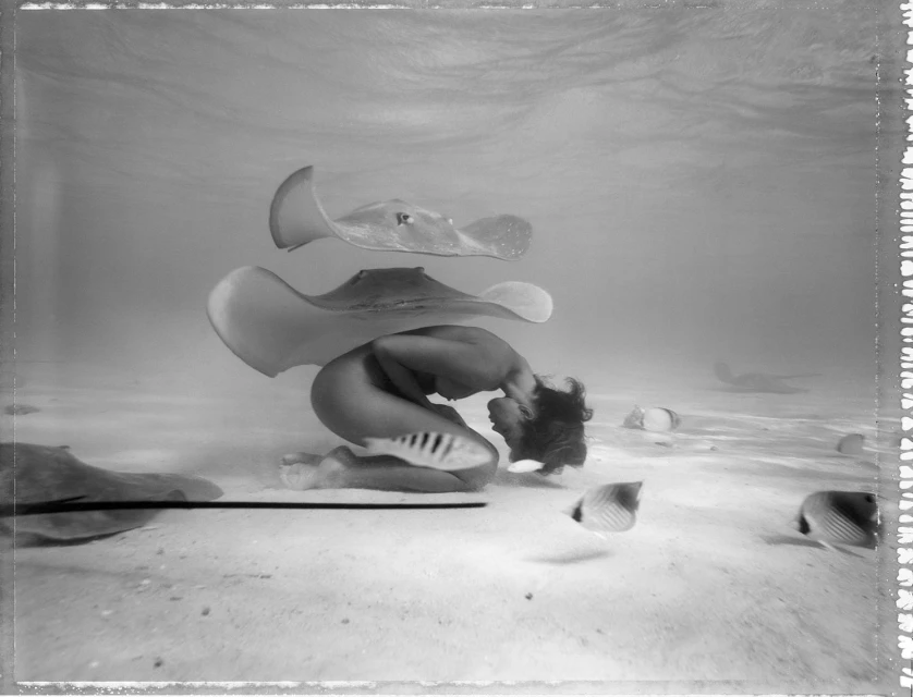 Monochrome underwater shot features an adult human figure interacting with stingrays and colorful fish above a sandy ocean floor.
