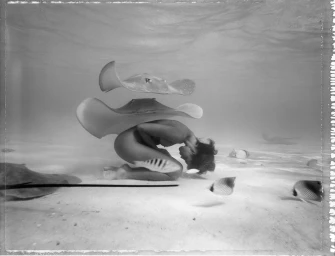 Monochrome underwater photograph of a woman kneeling on a sandy seabed surrounded by swimming stingrays and tropical fish.