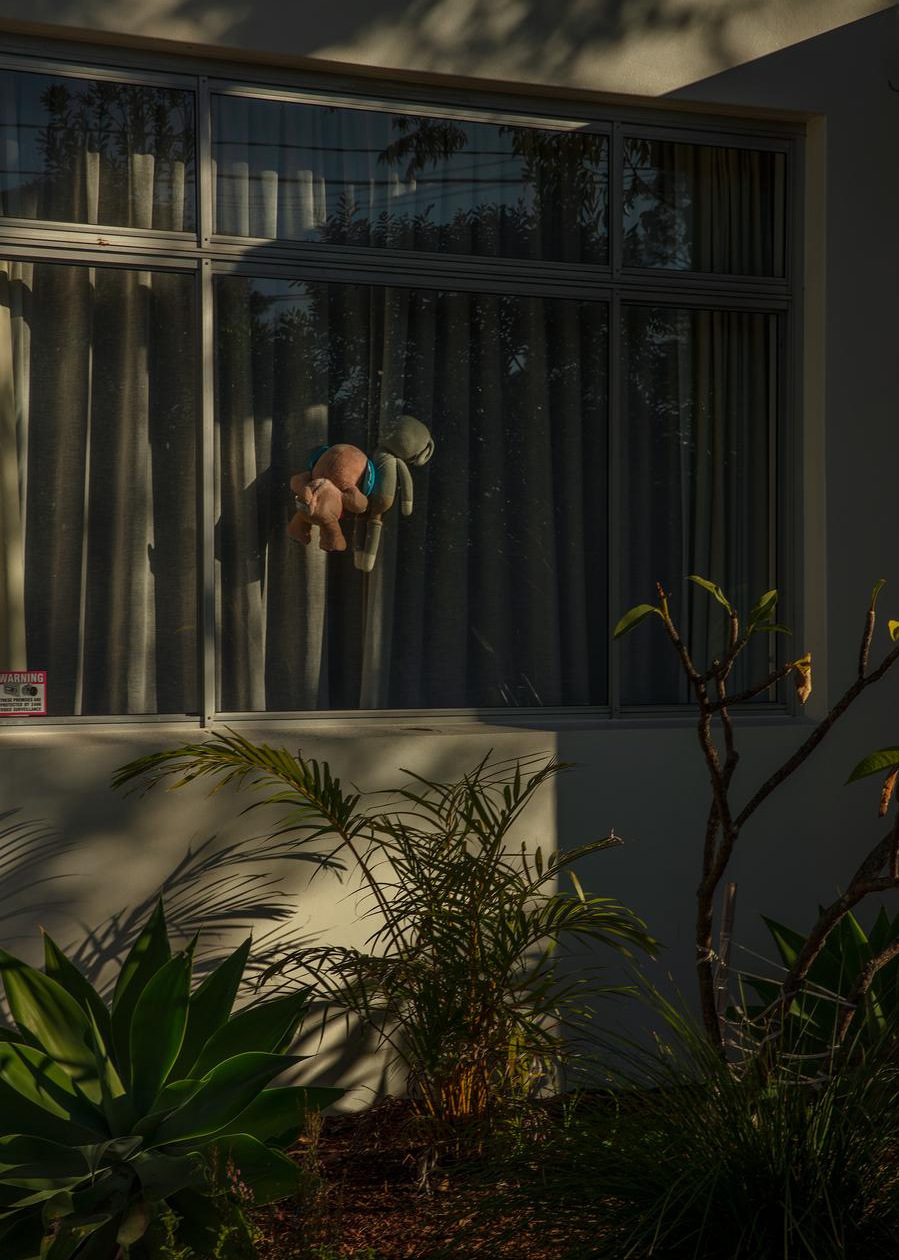 Two stuffed animals hanging in a window with sheer curtains, bathed in warm light and surrounded by lush greenery outside.