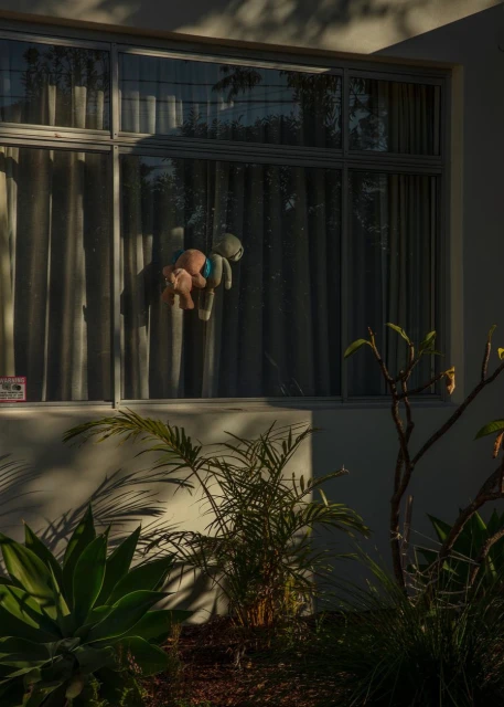 Two stuffed animals hanging in a window with sheer curtains, bathed in warm light and surrounded by lush greenery outside.