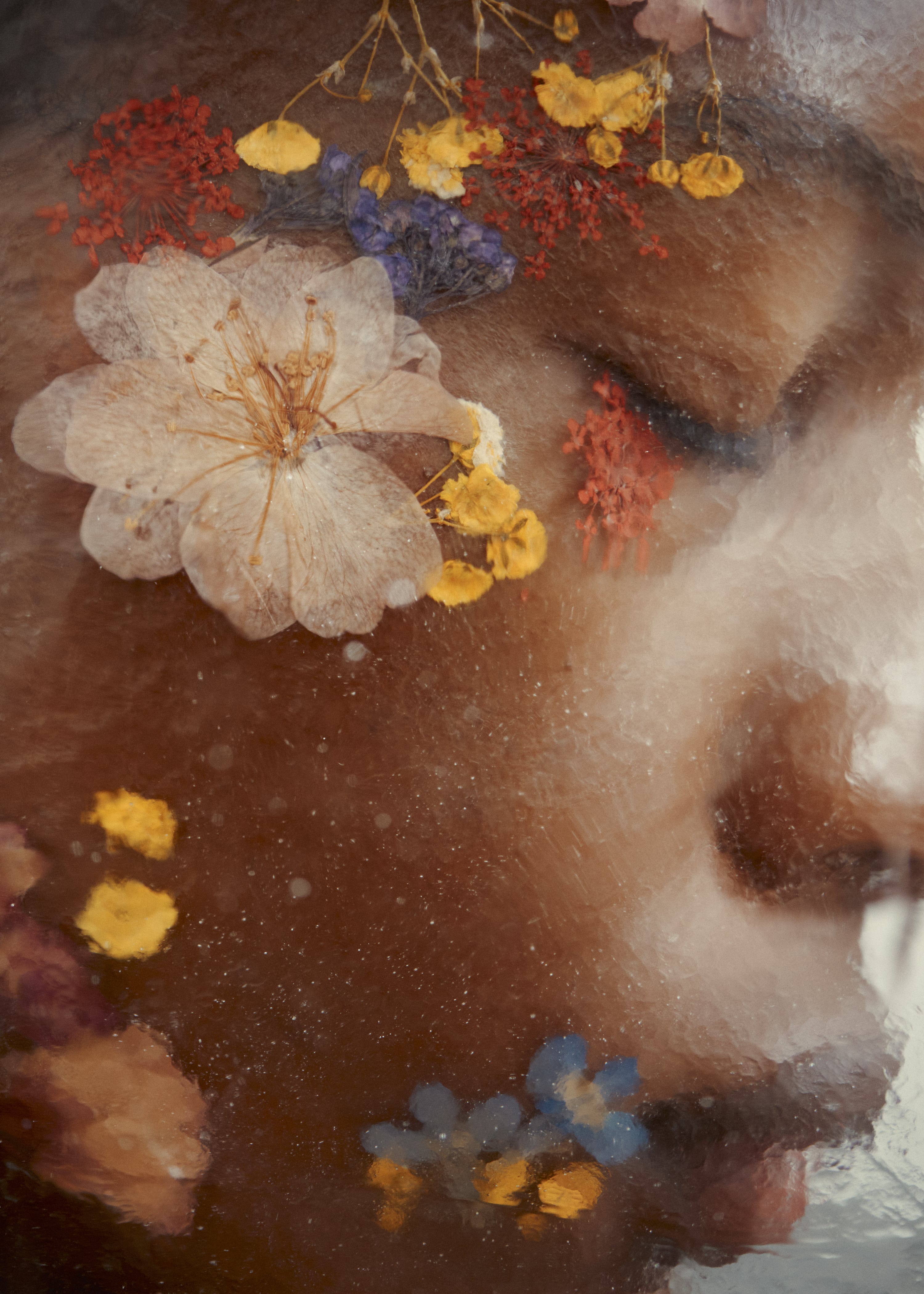 Close-up studio shot of an adult female's face partially submerged in water, adorned with an assortment of colourful flowers.