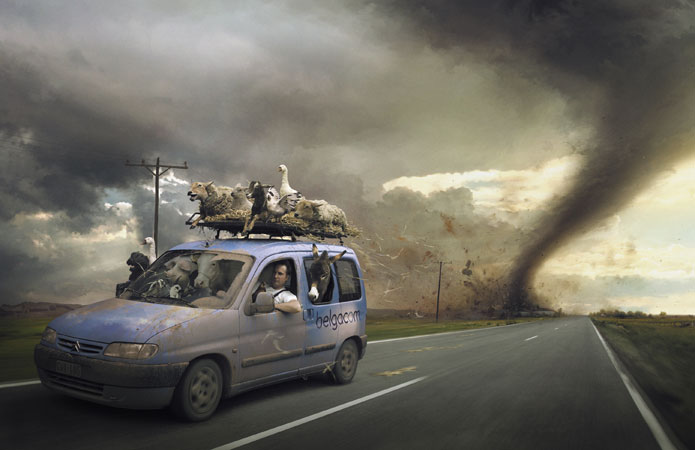 Blue van overloaded with farm animals driving away from a large tornado in rural landscape. Driver visible. Image has digital effects.