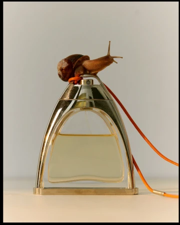 A snail resting on top of a stirrup-shaped perfume bottle with an orange cord against a plain grey backdrop.