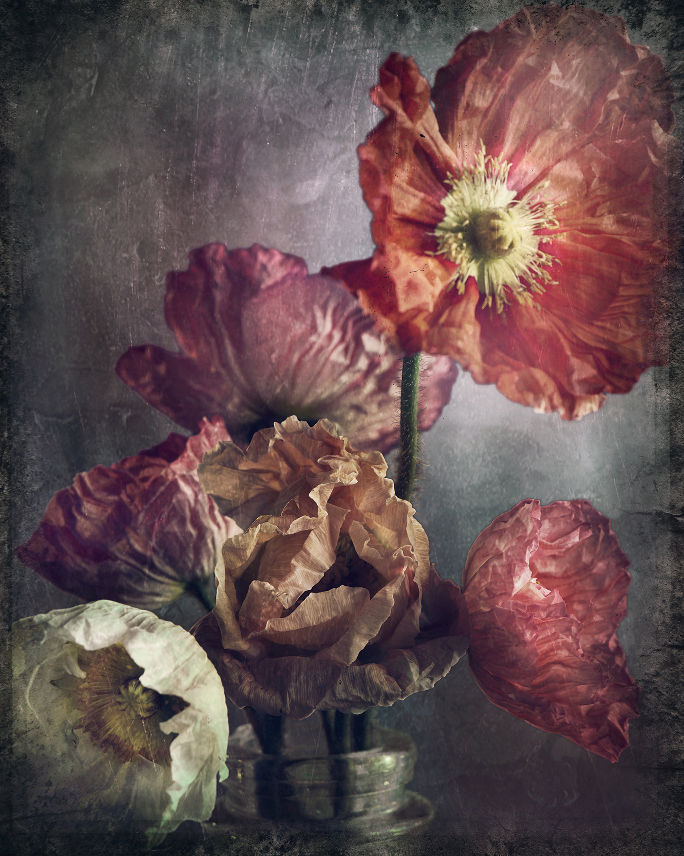 Still life photograph of a floral arrangement featuring poppies in various shades of pink, peach, red, and white, arranged in a glass jar.
