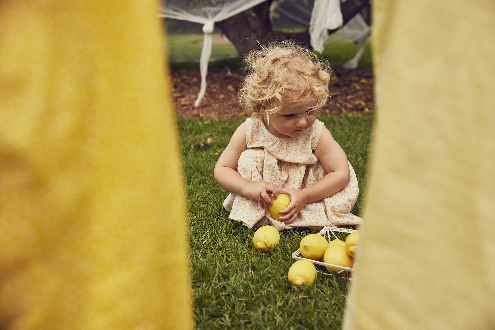 A toddler with blonde curly hair sits on grass holding a lemon with a basket of lemons nearby, framed by blurred yellow fabric.