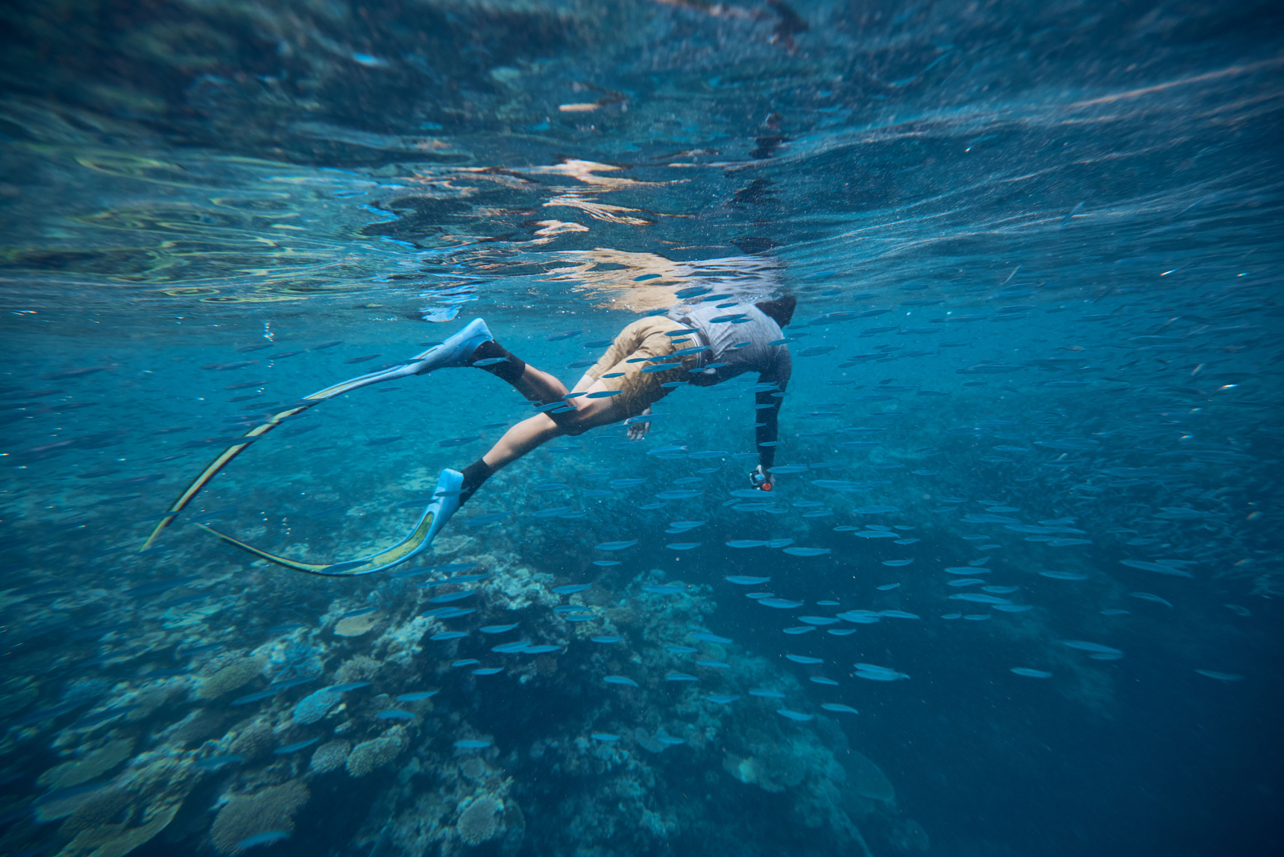 Underwater view of a diver with fins swimming over a coral reef with many small fish in clear blue ocean water.