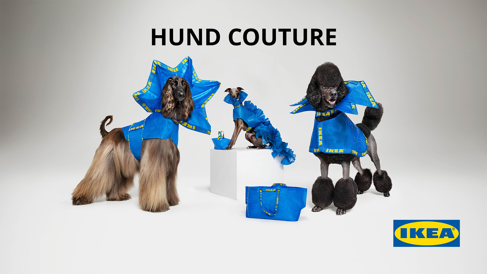 Three dogs, an Afghan Hound, Greyhound, and Poodle, are wearing custom IKEA FRAKTA bag outfits. A white backdrop emphasizes the blue bag designs.