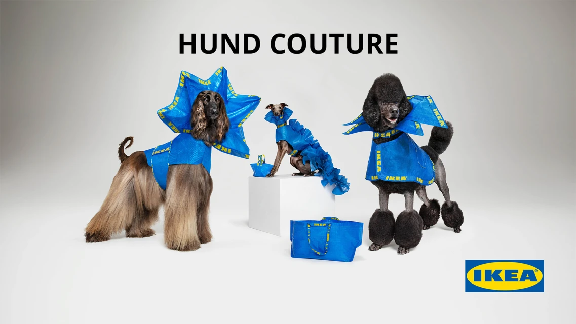 Three dogs, an Afghan Hound, Greyhound, and Poodle, are wearing custom IKEA FRAKTA bag outfits. A white backdrop emphasizes the blue bag designs.