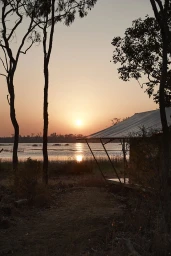 Sunset sky over a calm lake framed by silhouetted tree trunks and a small structure in Sydney