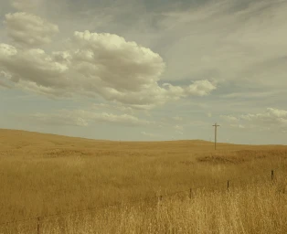 Vast golden meadow landscape under a cloudy sky with a solitary wooden utility pole and wire fence by Saskia Wilson