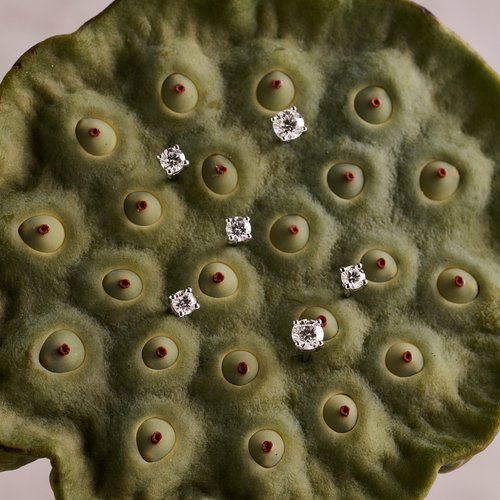 Close-up of diamond stud earrings displayed on a green lotus seed pod, highlighting the texture and color contrast.