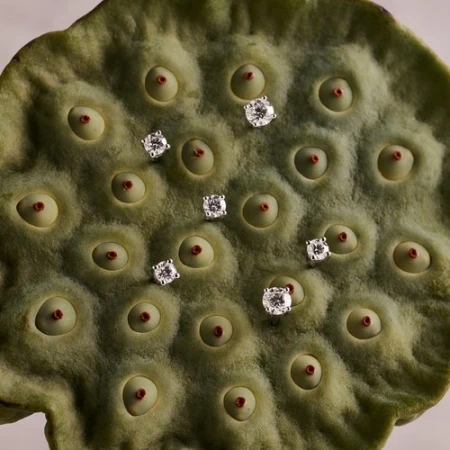 Close-up of diamond stud earrings displayed on a green lotus seed pod, highlighting the texture and color contrast.