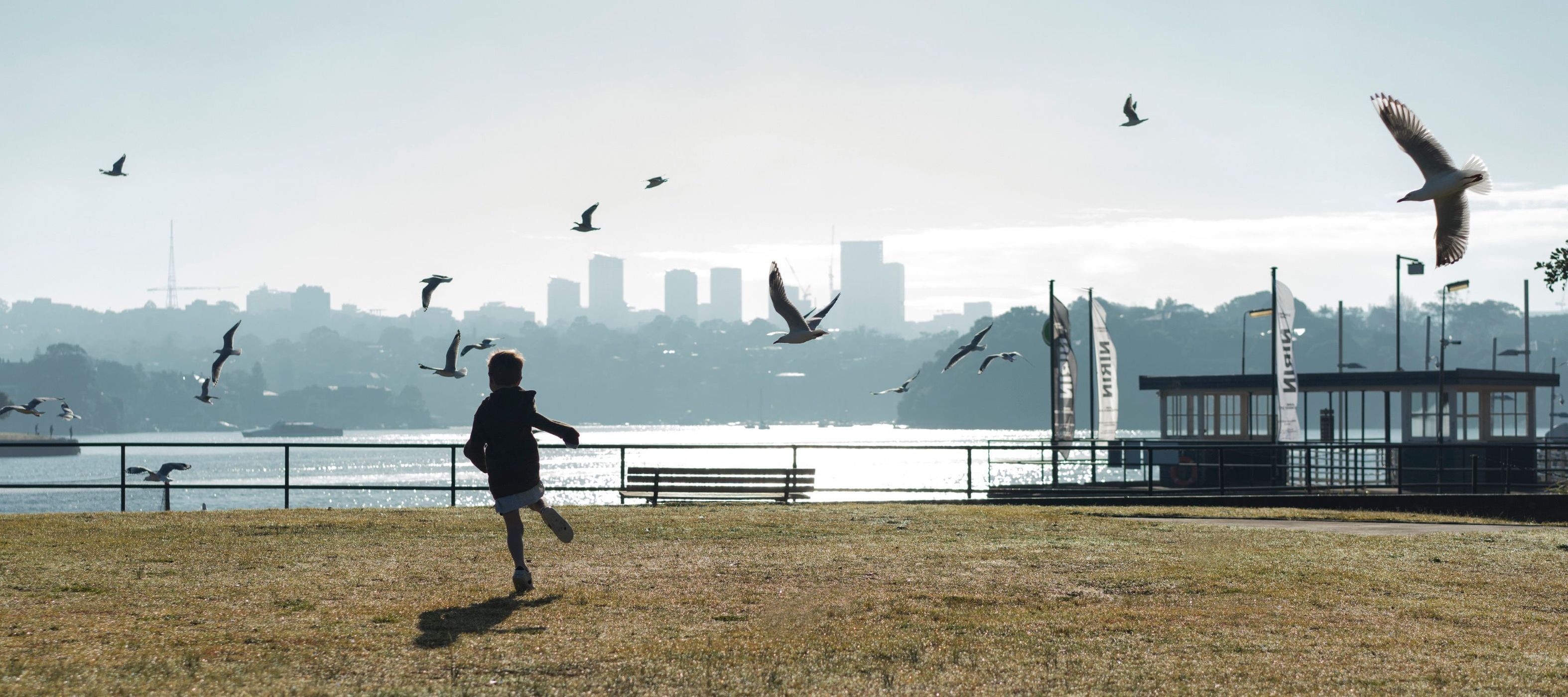 A child runs toward a flock of seagulls on a grassy hill overlooking a bay and a distant cityscape silhouetted in the hazy sunlight.
