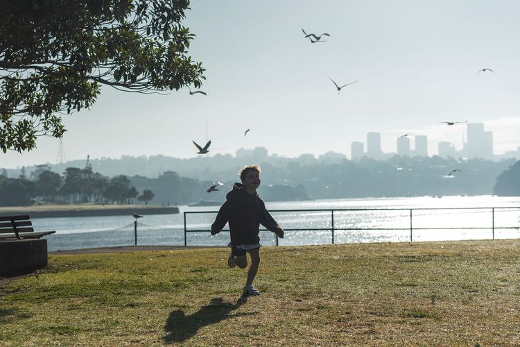 A young child runs through a grassy park with a cityscape and bay in the background, enjoying the outdoors with birds flying overhead.