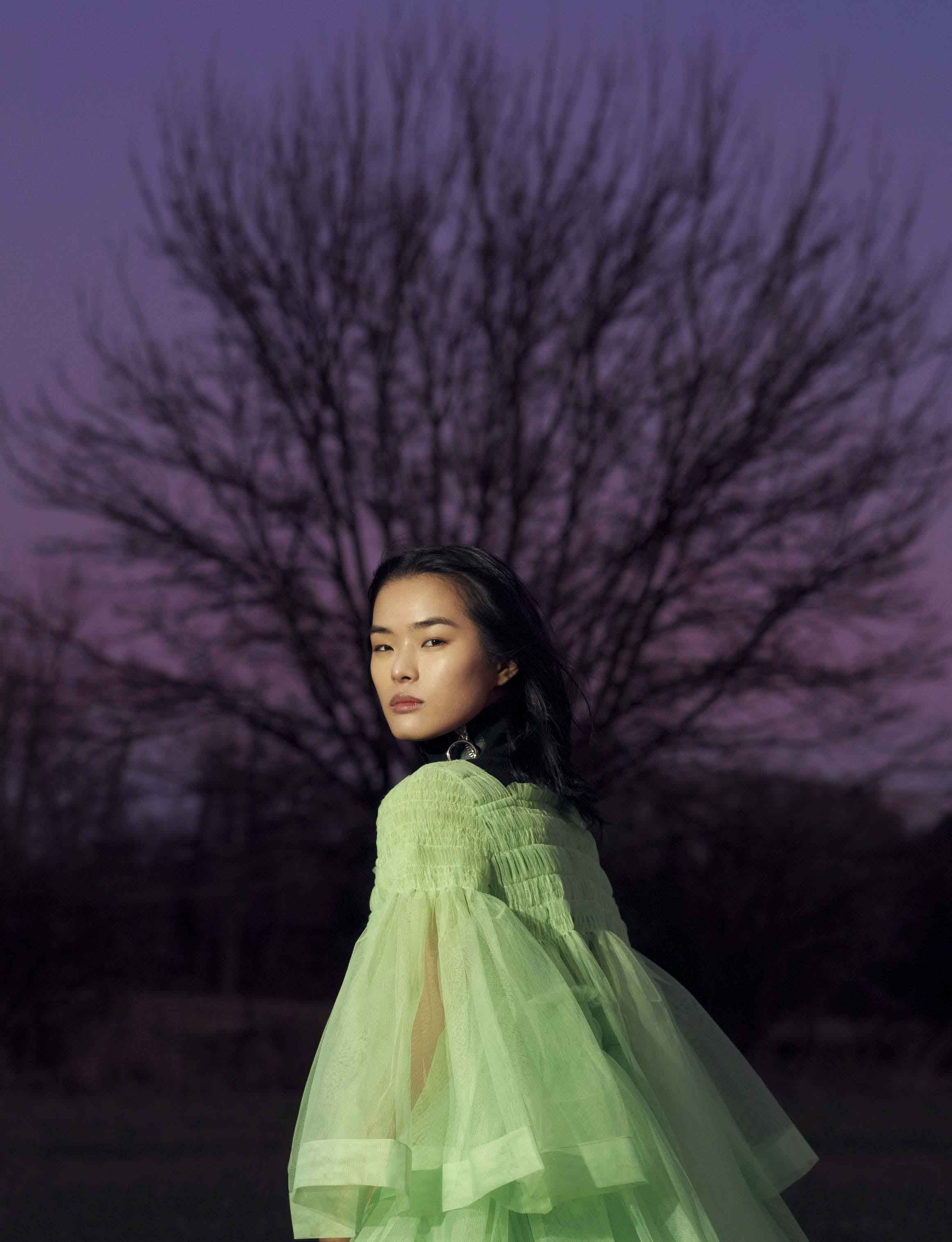 Portrait of Asian woman in light-green tiered tulle dress, looking over her shoulder in outdoor evening setting with bare tree in background.