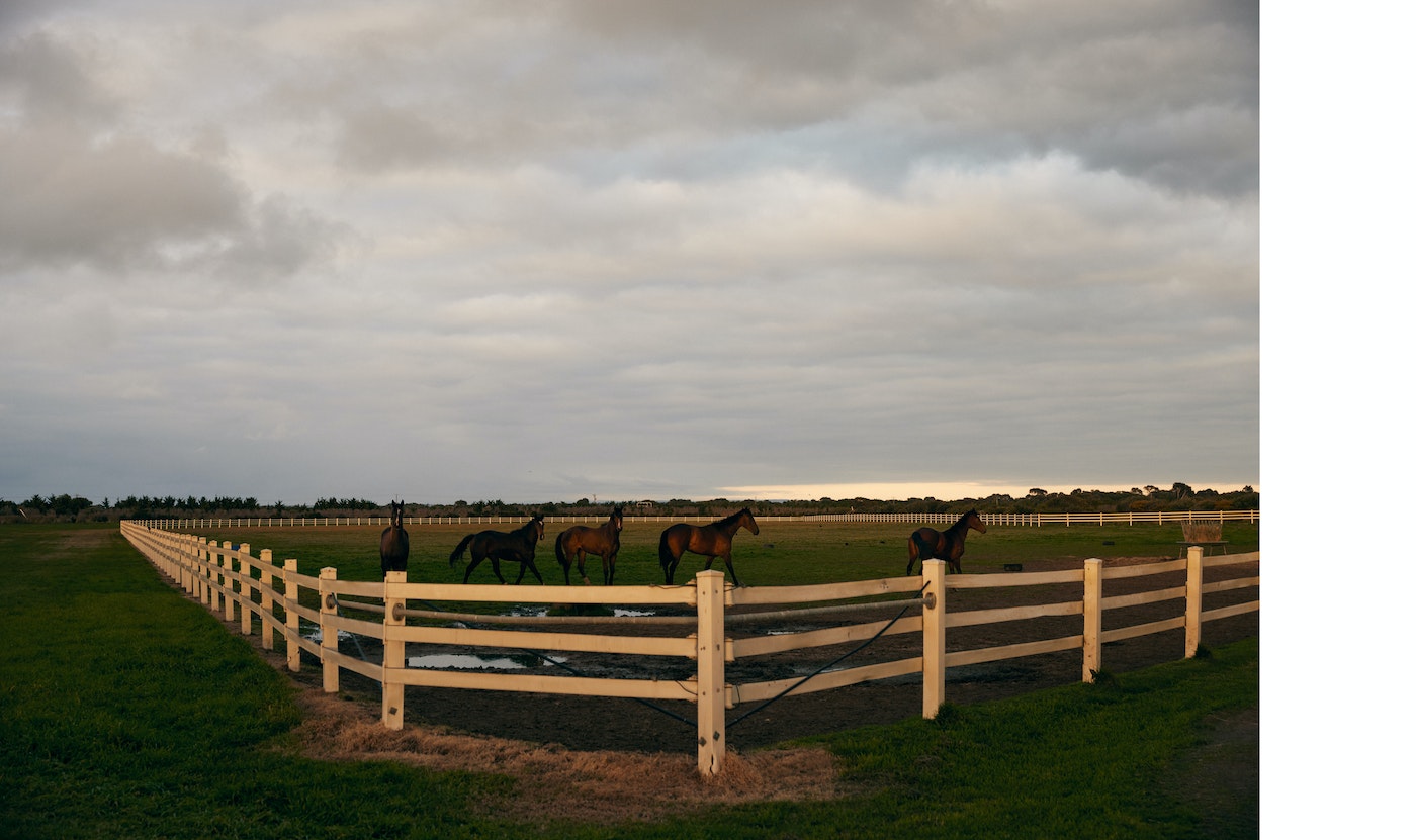 Horses graze in a field enclosed by a white fence under a cloudy sky, creating a serene and pastoral landscape.