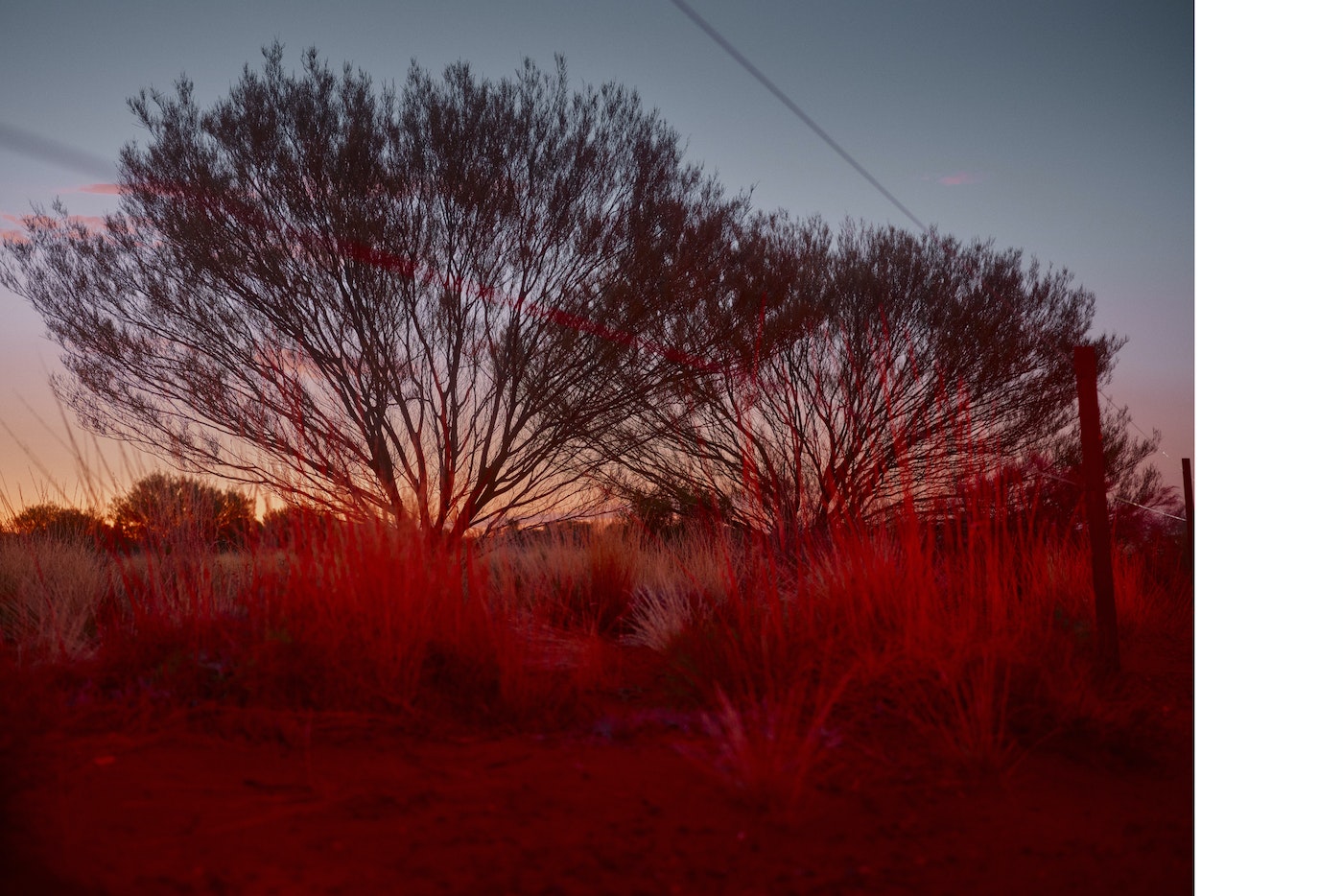 Trees in silhouette with sunset-colored sky, grass, and a dirt path. The horizon is visible with cloud streaks.