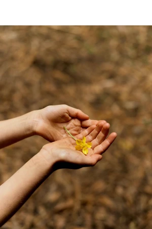Child's hands hold a small yellow flower against a blurred background of dried leaves and twigs in a close-up outdoor shot.