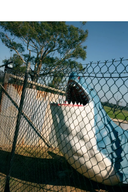 Outdoor shot of a large shark sculpture with an open mouth behind a wire fence against a backdrop of trees and a clear blue sky.