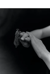 Monochrome close-up of hands gently holding a large moth against a dark background, captured by photographer Cory White.