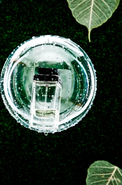 Overhead shot of a perfume bottle sitting in a clear bowl filled with water, leaves in the dark green background with water droplets.