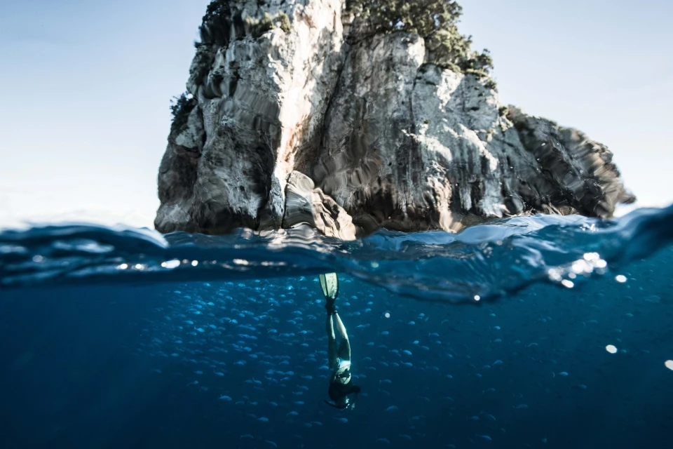 Underwater scene of a free diver surrounded by a school of fish, with a rock formation visible above the water line against a clear sky.