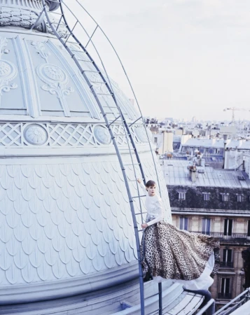 Fashionable woman in an animal-print dress climbs a ladder on a building's ornate dome, overlooking a cityscape under a bright sky.