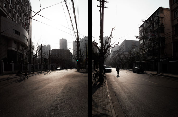 Urban scene in Shanghai featuring a city street, pedestrians, buildings, bare trees, and utility poles under bright sunlight.