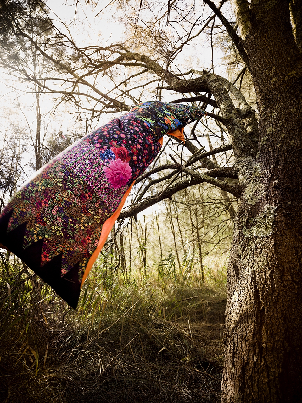 Outdoor still life of a patterned textile draped on a tree branch with sunlight filtering through the forest foliage, creating a whimsical scene.