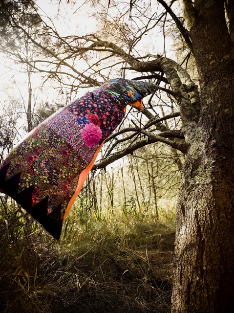 Outdoor still life of a patterned textile draped on a tree branch with sunlight filtering through the forest foliage, creating a whimsical scene.
